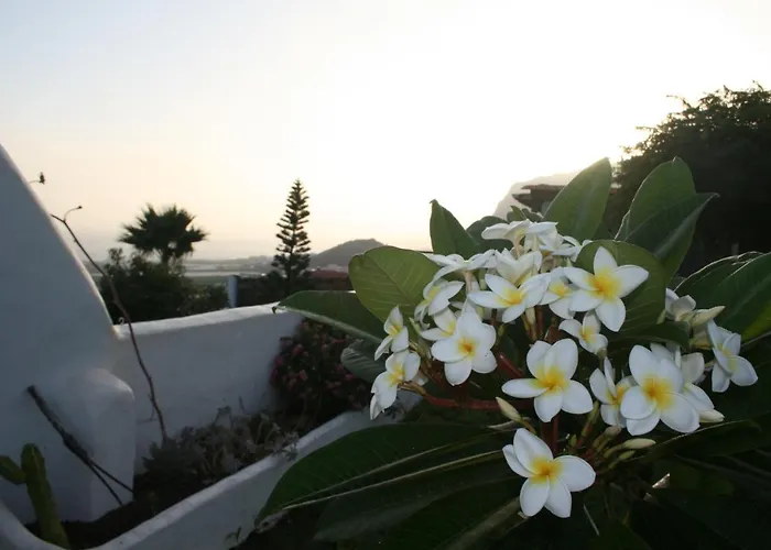 Finca-las Mariposas 2 * Las Canteras (Tenerife)